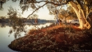 1200-0074