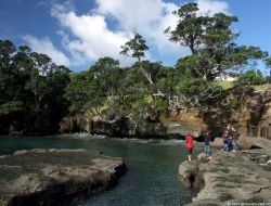 Goat Island Marine Reserve