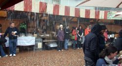 Matakana market