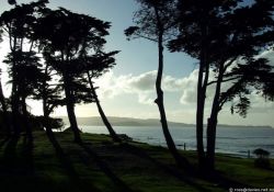Tauwharanui park
