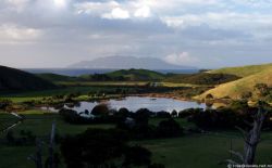 Tauwharanui view