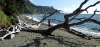 Beach Goat Island