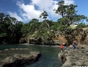 Goat Island Marine Reserve