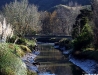 Puhoi
