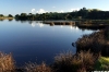 Tauwharanui lagoon