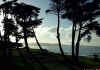 Tauwharanui park