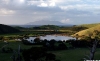 Tauwharanui view