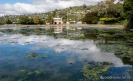 Tahunanui Park