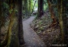 Colonial Knob Walkway, Porirua