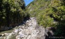 Ngakawau River - Charming Creek Walkway