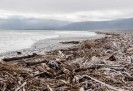 Westport Beach