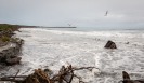 Westport Beach