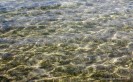 Momerangi Bay, Queen Charlotte Sound