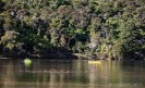 Davies Bay on Queen Charlotte Sound