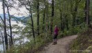 Queen Charlotte Track near Anakiwa