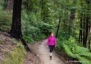 Queen Charlotte Track near Anakiwa