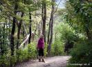 Queen Charlotte Track near Anakiwa