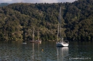 Momerangi Bay, Queen Charlotte Sound