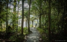 Walk near Rainbow Falls Kerikeri
