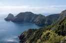 Cape Brett from the track