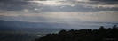 View from the lookout Otanewaiuku Forest