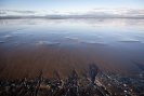 Firth of Thames near Kaiaua