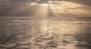 Firth of Thames near Kaiaua