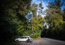 Otanewaiuku Forest