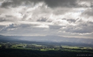View from the lookout Otanewaiuku Forest