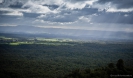View from the lookout Otanewaiuku Forest