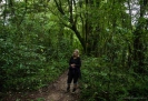Wyn in Otanewaiuku Forest