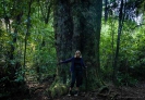 Rimu Loop Track Otanewaiuku Forest