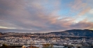 Flagstaff Dunedin