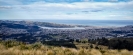 Dunedin from the summit of Flagstaff. 