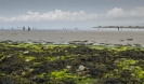 Sandflats west from St Michael\'s Mount causeway