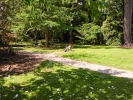 Picnic lunch in Trelissick Gardens