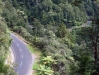 dscf6811.jpg