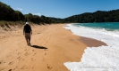 Totaranui Beach