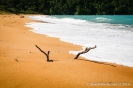 Totaranui Beach
