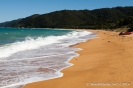 Totaranui Beach