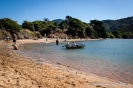 Totaranui Beach