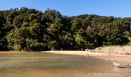 Totaranui Beach