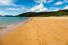 Totaranui Beach