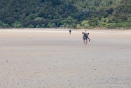 Awaroa Estuary