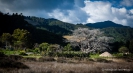 Wainui Inlet, Abel Tasman National Park
