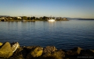 Tauranga Harbour