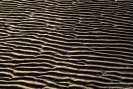 Snells Beach patterns