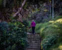 Mangawhai Cliff Top Walkway