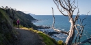 North along the Mangawhai Cliff Top Walkway