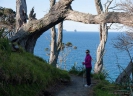 North on the Mangawhai Cliff Top Walkway